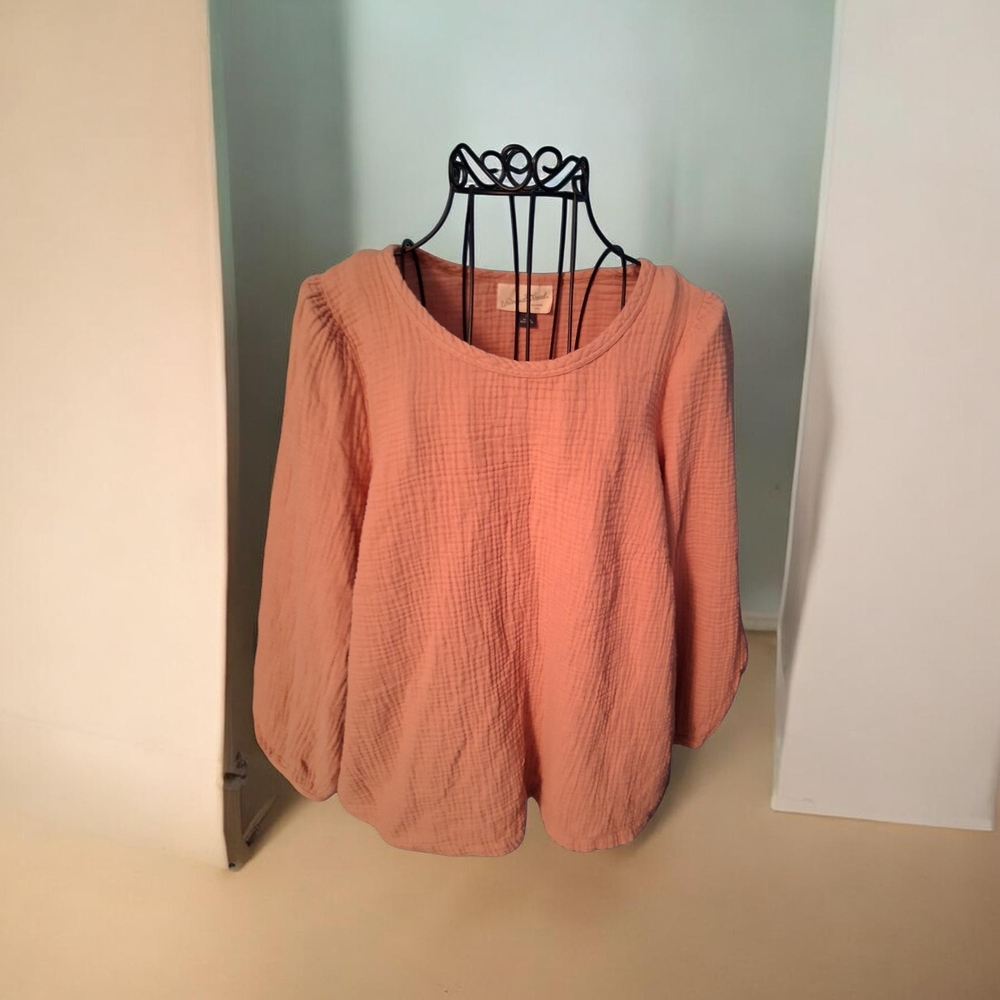 Universal Thread Women's Blush Blouse